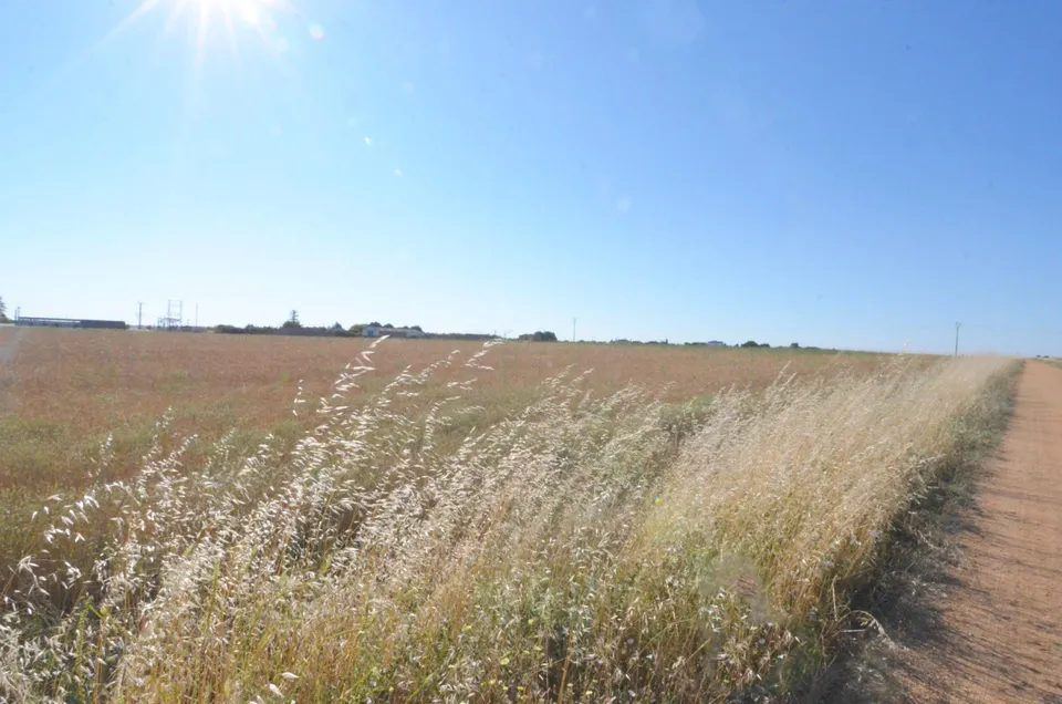 Urbis te ofrece un terreno en venta en Castellanos de Villiquera, Salamanca.