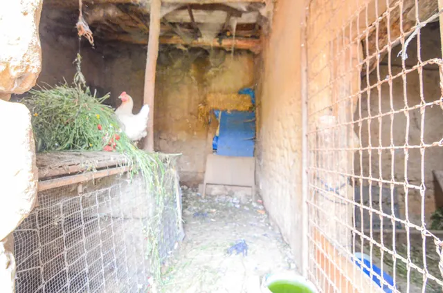 Urbis te ofrece una casa con terreno en venta en Doñinos de Salamanca, Salamanca. — 8