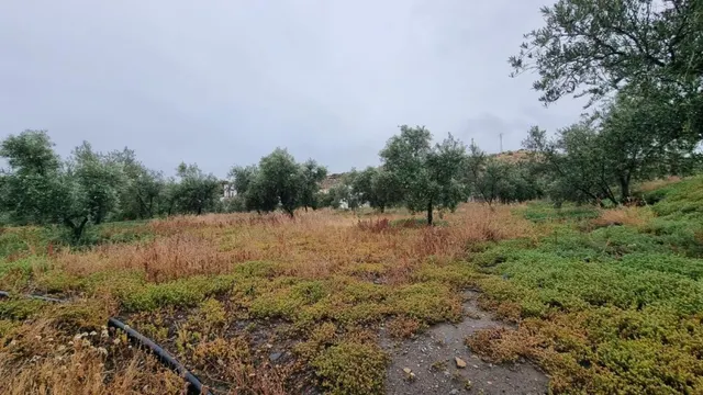 Casa rural en Tabernas (almeria) — 29