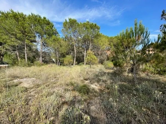 PARCEL.LA EN VENDA EL XARÓ — 2