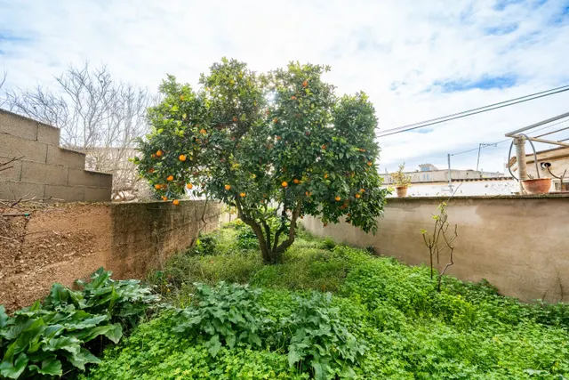 Casa con gran potencial en el centro de Montuiri - foto 5
