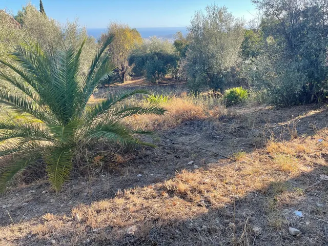 Parcela con vistas al mar en Mijas Pueblo - Costa del Sol - foto 5