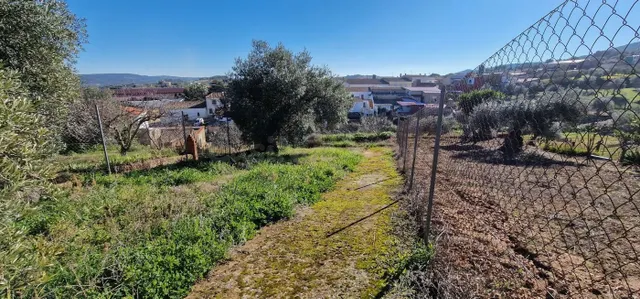 Casa con terreno en Salvatierra de los Barros-Badajoz - foto 2