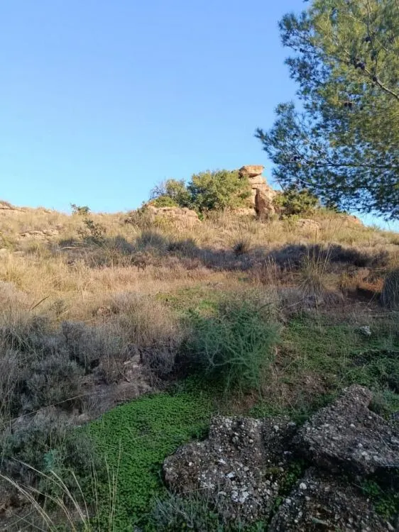 Parcela en venta - Alora pueblo — 18