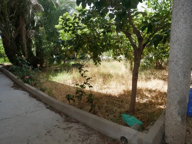 Se venden naves con parcela de 2.868 m2 en Senda De los Garres — 44