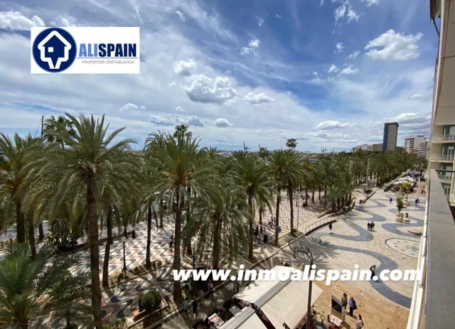 Espectacular vivvienda a estrenar en pleno corazón de Alicante - explanada de españa — 46