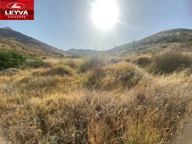 TERRENO RUSTICO DE 20000 M2 EN VENTA CON 3500 M2 URBANIZABLE - foto 4