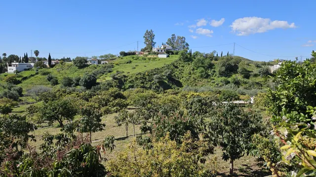 PARCELA RÚSTICA CON CASA DE APEROS  Y ÁRBOLES FRUTALES EN LA ALQUERÍA — 12