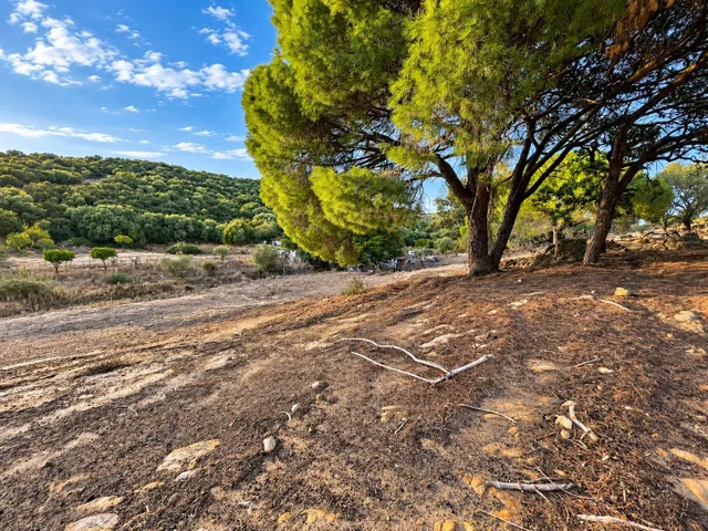 Finca rústica de 18.444 m2 con pozo y construcción catastrada en Alcalá de los Gazule — 28