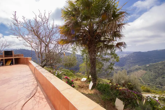 Finca agrícola de 5 hectáreas con alta rentabilidad y produc - foto 3