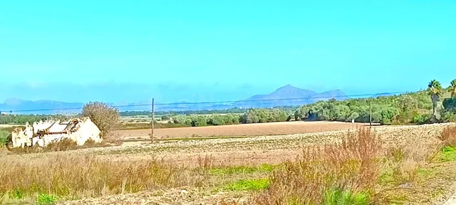Finca rústica con vistas a la Serra de Tramuntana en Muro - foto 3
