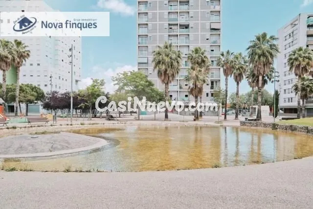 LOCAL MUY BIEN UBICADO EN EL PARQUE EUROPA - foto 3