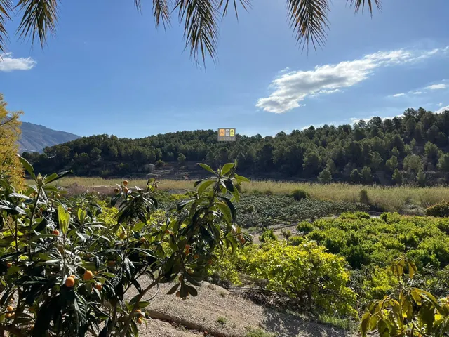 CASA CON TERRENO ( Callosa De Ensarriá) — 15