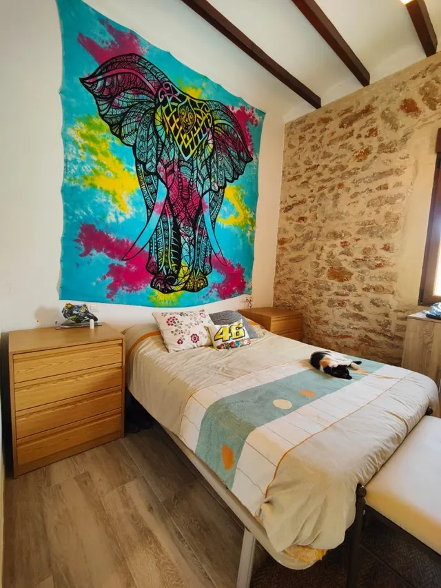 Parcela de 12.137 m2 con casa rústica habitable y bonitas vistas al mar y al Peñón de Ifach  - Benissa — 10
