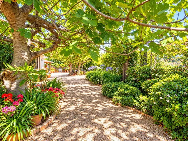 #  ¡una obra de arte entre la huerta y la ciudad! — 6