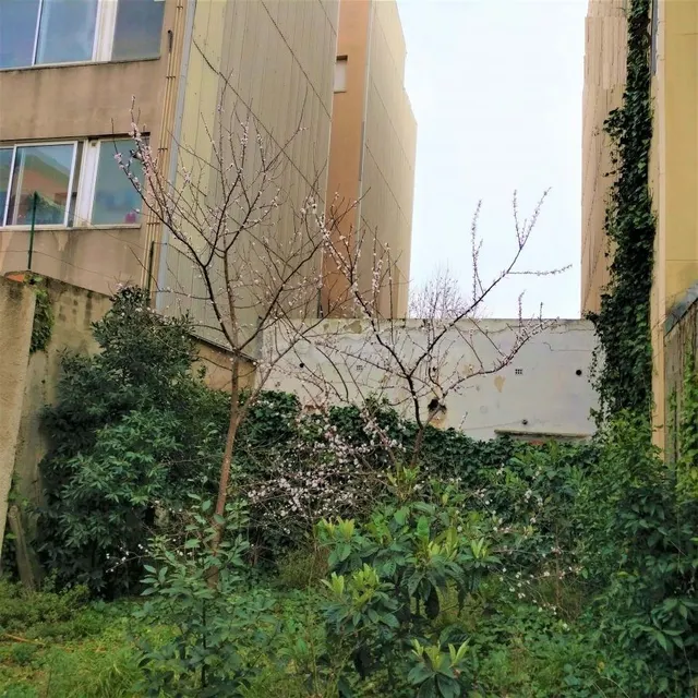 Parcela en venta - Centre - foto 5