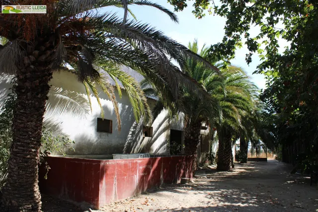 Masía con 18.000 m2 de terreno y amplios almacenes en Penelles. — 7