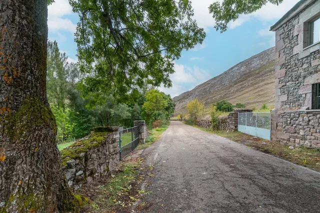 Casa, cuadra, pajar y fincas en venta en babia — 21