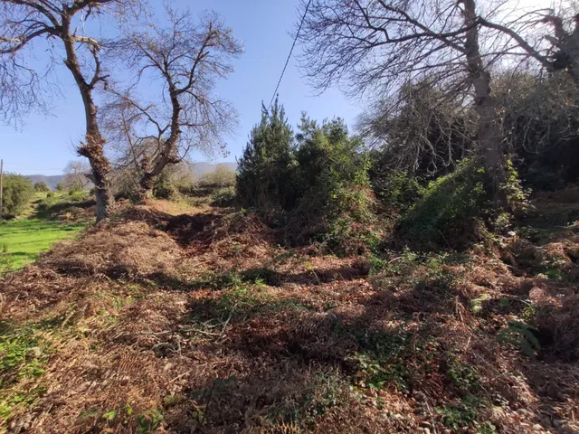 TERRENO EN LA OROTAVA, AGUAMANSA — 6