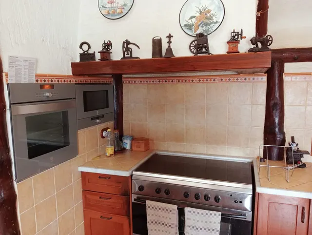BARRACA TÍPICA DEL DELTA EN AMPOSTA — 14