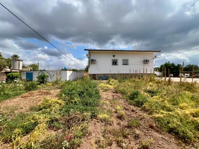 FINCA CON PISCINA, HUERTO, POZO Y VIVIENDA DE 3 PLANTAS — 21
