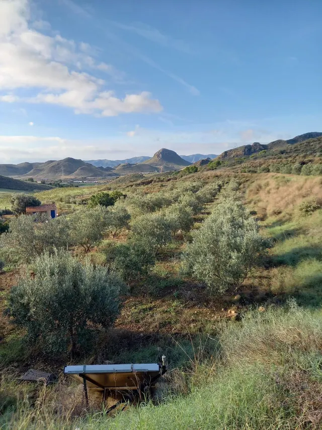 Refugio único con 3 viviendas, olivar y energía solar – Costa Cálida, Murcia — 25