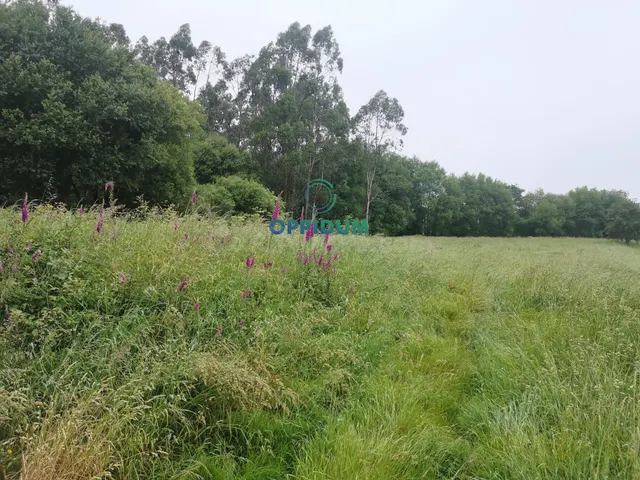 Terreno urbanizable en Santiago – Zona Amio, junto al mercad - foto 3
