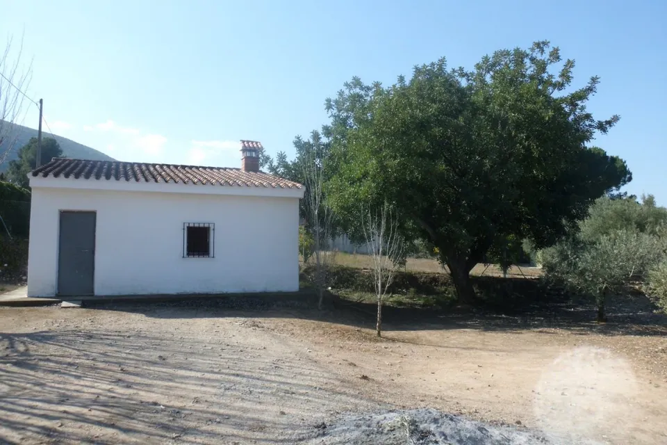 Terreno en la Ca Pallús - Ontinyent