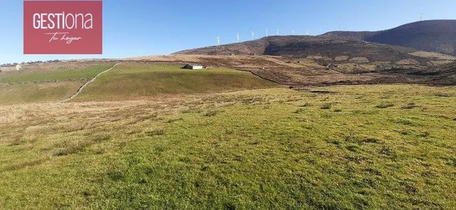 CABAÑA EN PLENA NATURALEZA, SAN PEDRO DEL ROMERAL. — 16