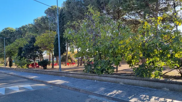 Solar urbano en el centro de Pedrola – 241 m2 con doble acceso — 11