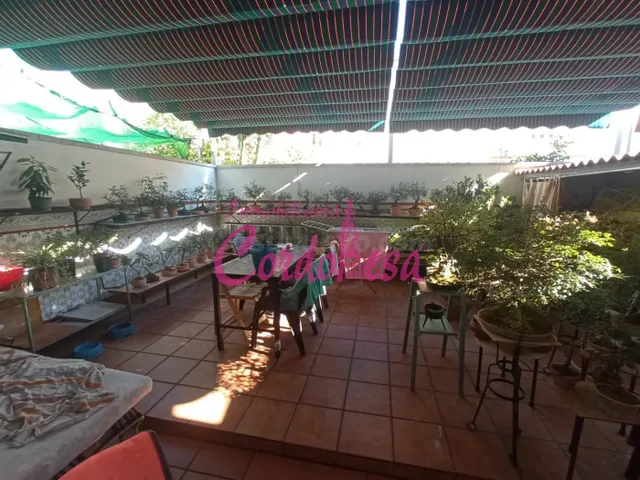 MAGNÍFICA CASA CON PISCINA EN ALCOLEA!!! — 2