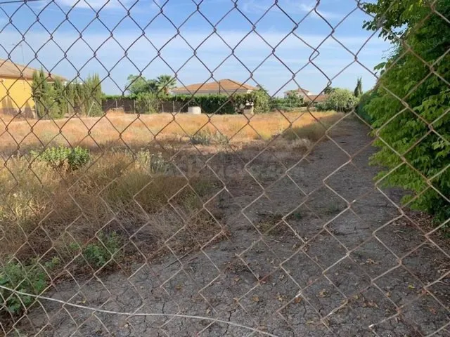 Zona La Barquera- Parcela de terreno de 1250 m2 con pozo y p - foto 2