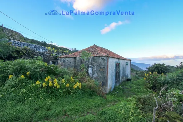 Casa de pueblo en Venta en Poleal, El Santa Cruz de Tenerife - foto 3
