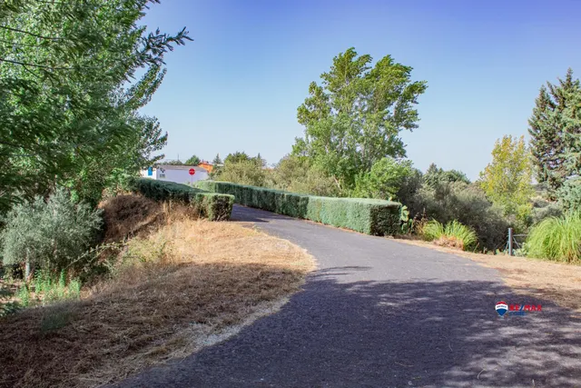 Exclusiva finca rústica con vivienda, piscina, zonas ajardin - foto 4