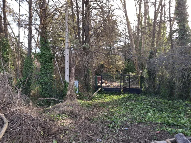 Finca con vivienda para venta — 19