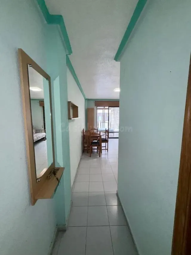 ESTUDIO EN EL CHAPARRAL - TORREVIEJA  : 1 HAB — 5