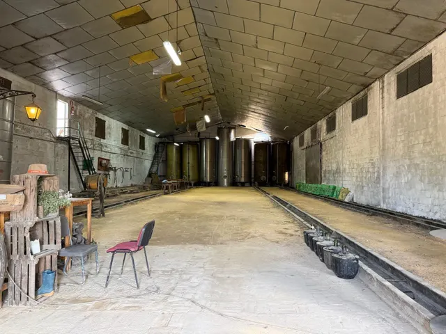 Viñedo de 24,40ha 1300m2 naves y 400m2 restaurante — 16