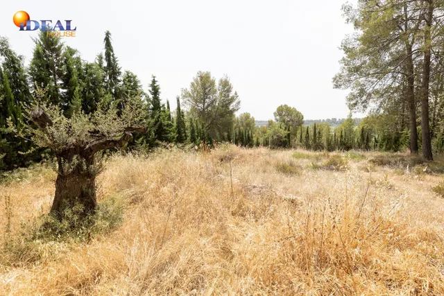 EXCLUSIVO TERRENO EN VENTA EN ALBOLOTE — 11