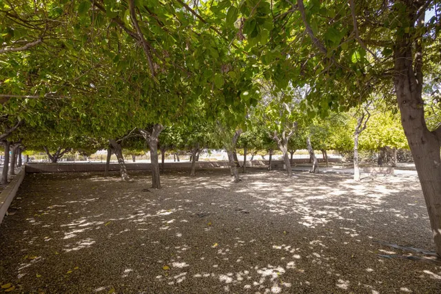 Bungalow en planta baja a 400 metros de la Playa de Los Náufragos — 29