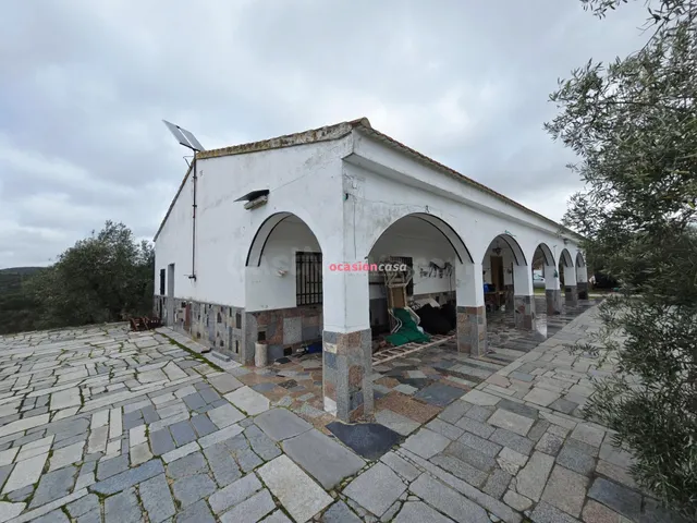 FINCA DE OLIVOS CON CORTIJO - foto 3