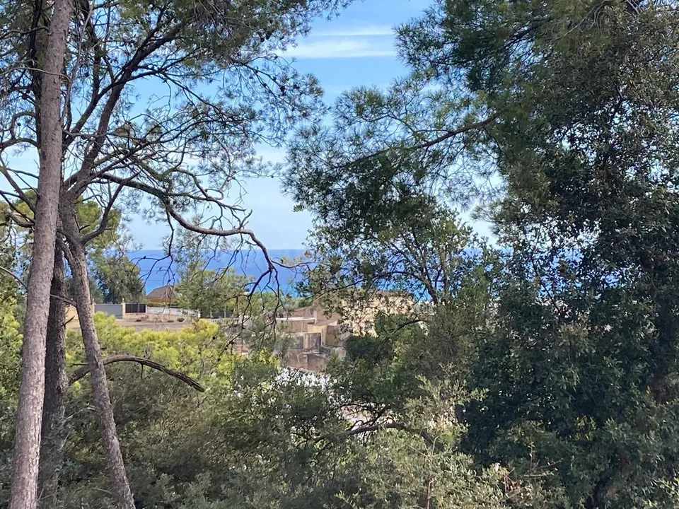 2 SOLARES EDIFICABLES EN VENTA EN SANTA SUSANNA