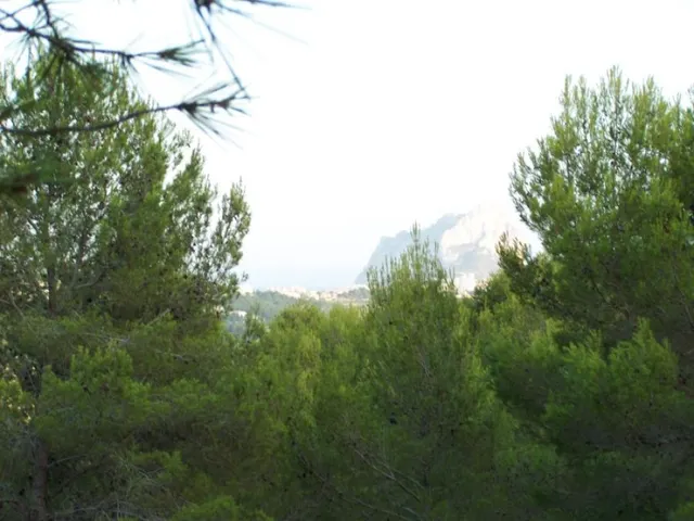 Venta. Parcela rústica en Benissa — 5