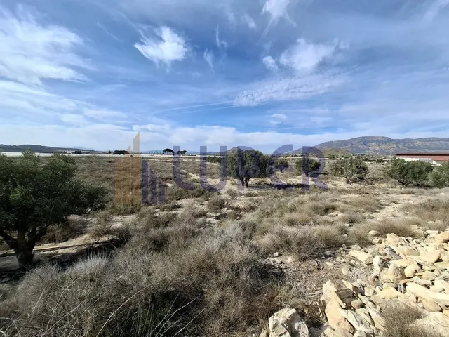TERRENO RUSTICO A LA VENTA EN AGOST