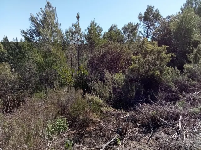Tegeisa vende parcela de 1204m2 - foto 2