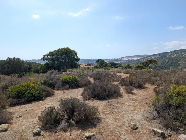Parcela rústica de 8.023 m2 con vistas al mar en Casares — 2