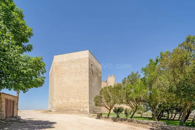 MONCASA VENDE EN MONTEALEGRE DE CAMPOS - foto 2