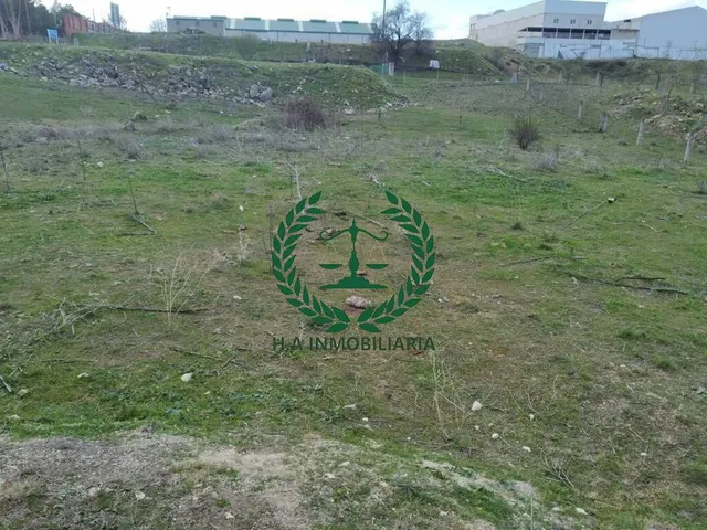 SUELO URBANO EL MOLAR   SUPERFICIE: 1.296,00 m2        PVP. 185.000 € — 13