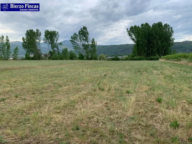 SE VENDE FINCA RÚSTICA EN VILLAVERDE DE LA ABADÍA
