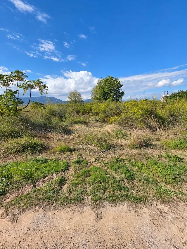 Finca rústica de 6.705 m2 en la zona de els ullals de baltasar, Amposta — 7
