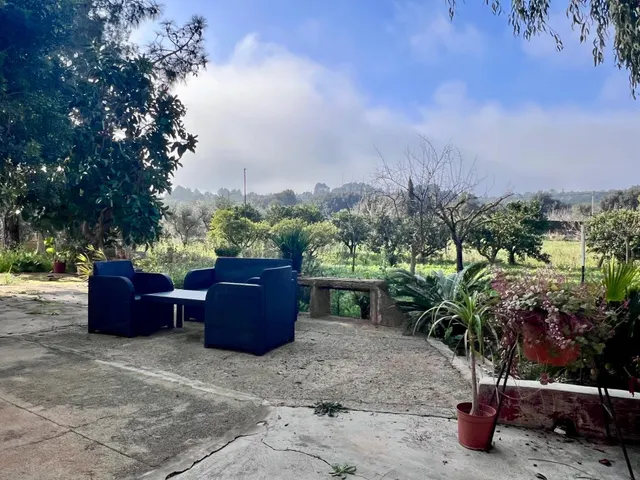 Finca rústica Campanet — 5